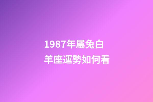 1987年屬兔白羊座運勢如何看-第1張-星座運勢-玄機派