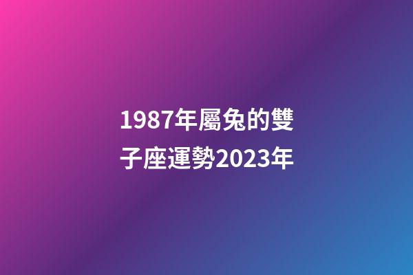 1987年屬兔的雙子座運勢2023年-第1張-星座運勢-玄機派