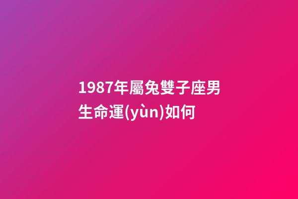 1987年屬兔雙子座男生命運(yùn)如何-第1張-星座運(yùn)勢-玄機(jī)派