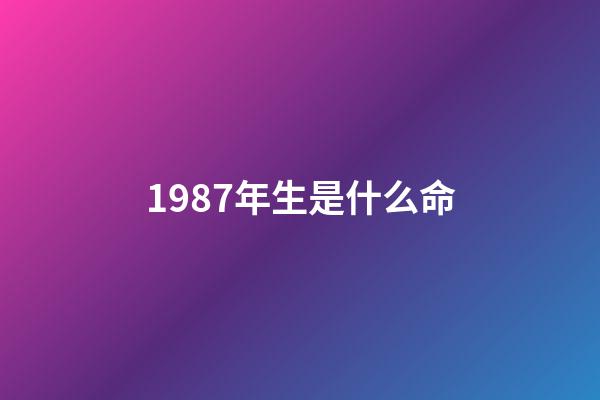 1987年生是什么命