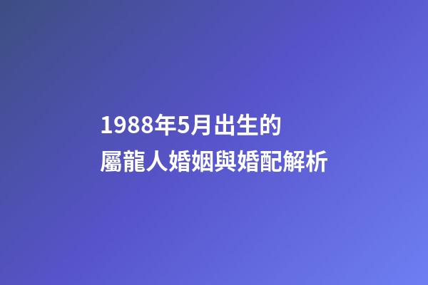 1988年5月出生的屬龍人婚姻與婚配解析