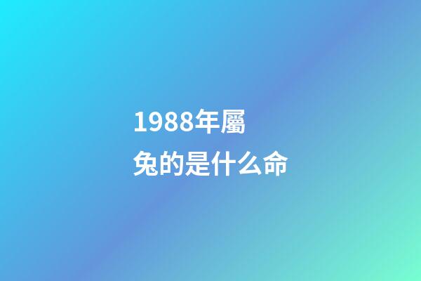 1988年屬兔的是什么命(「單身男女」1988年男公務員：有車、房，家庭無負擔)-第1張-觀點-玄機派