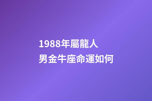 1988年屬龍人男金牛座命運如何-第1張-星座運勢-玄機派