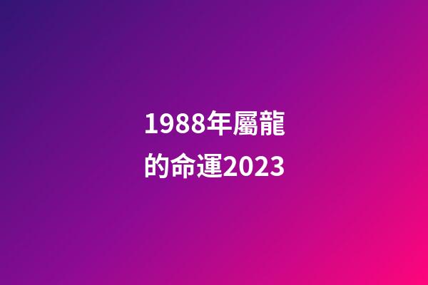 1988年屬龍的命運2023(明年桃花運旺，好運接連到來的生肖)-第1張-觀點-玄機派