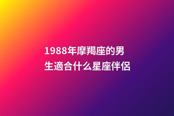 1988年摩羯座的男生適合什么星座伴侶-第1張-星座運勢-玄機派