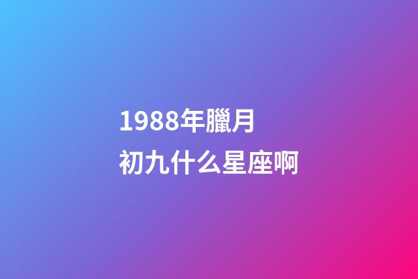 1988年臘月初九什么星座啊-第1張-星座運勢-玄機派