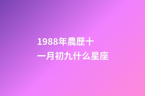 1988年農歷十一月初九什么星座-第1張-星座運勢-玄機派