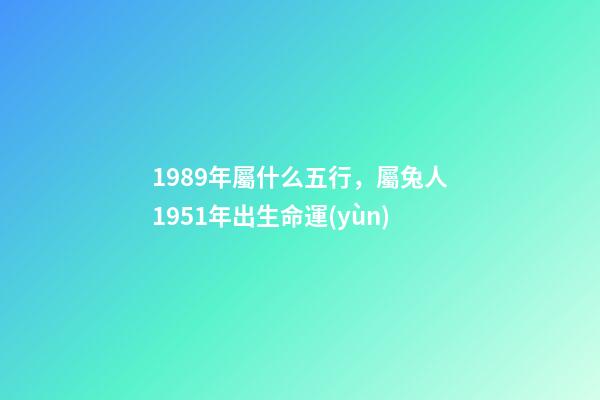 1989年屬什么五行，屬兔人1951年出生命運(yùn)-第1張-觀點(diǎn)-玄機(jī)派