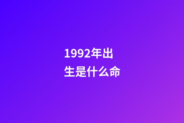 1992年出生是什么命