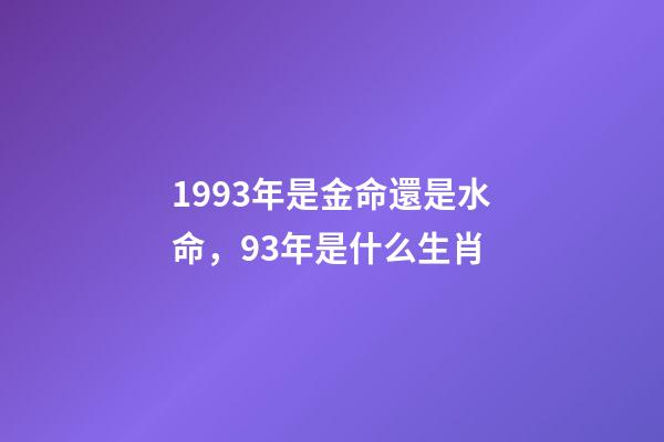1993年是金命還是水命，93年是什么生肖