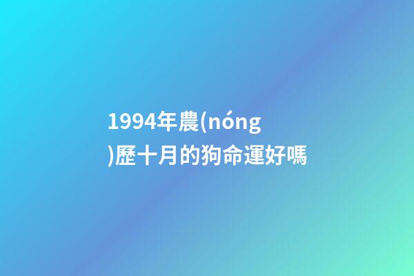 1994年農(nóng)歷十月的狗命運好嗎(12生肖女哪年哪月出生最容易嫁給好男人)-第1張-觀點-玄機派
