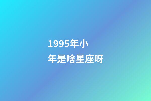 1995年小年是啥星座呀