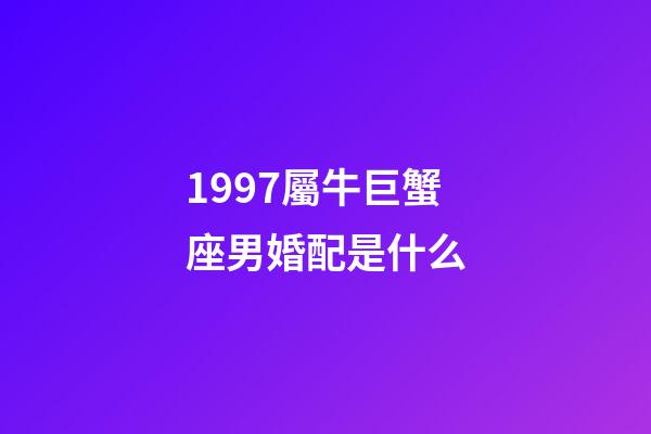 1997屬牛巨蟹座男婚配是什么-第1張-星座運勢-玄機派