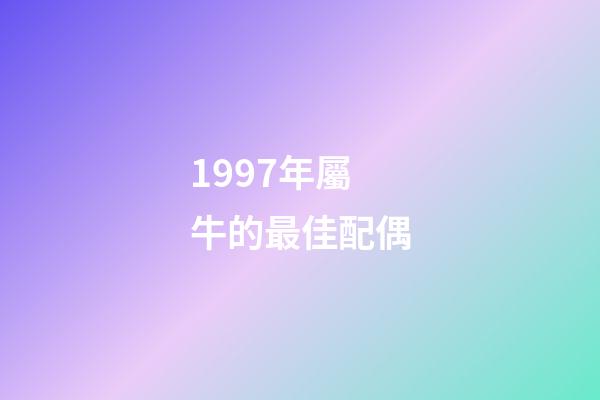 1997年屬牛的最佳配偶（97年屬牛女的正緣）-第1張-星座運勢-玄機派