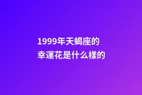 1999年天蝎座的幸運花是什么樣的-第1張-星座運勢-玄機派