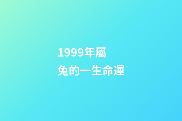 1999年屬兔的一生命運(土兔之命 土兔命運好嗎)-第1張-觀點-玄機派