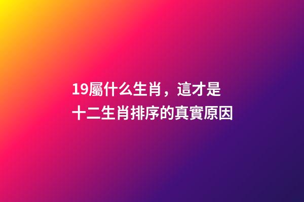 19屬什么生肖，這才是十二生肖排序的真實原因-第1張-觀點-玄機派