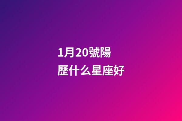 1月20號陽歷什么星座好-第1張-星座運勢-玄機派