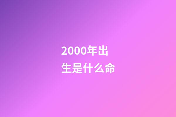 2000年出生是什么命