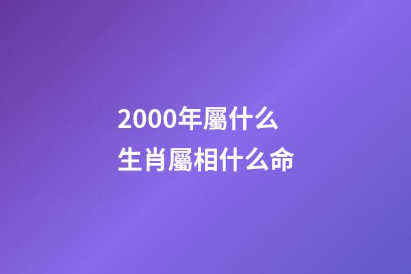 2000年屬什么生肖屬相什么命(說說十二生肖“馬”)-第1張-觀點(diǎn)-玄機(jī)派