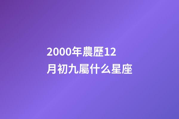 2000年農歷12月初九屬什么星座-第1張-星座運勢-玄機派