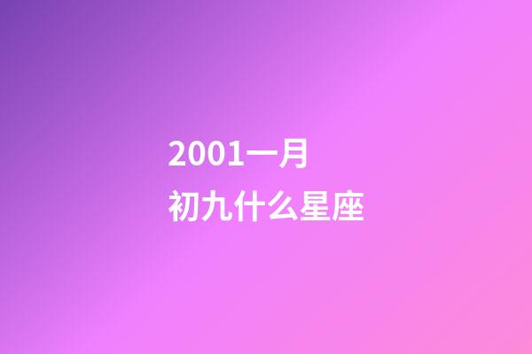 2001一月初九什么星座-第1張-星座運勢-玄機派
