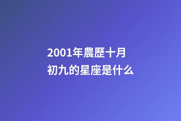 2001年農歷十月初九的星座是什么-第1張-星座運勢-玄機派