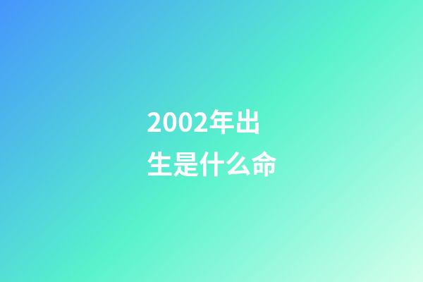 2002年出生是什么命