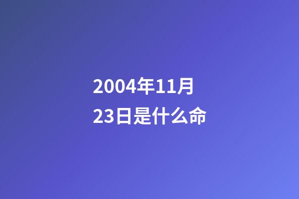 2004年11月23日是什么命(vivo X90 系列正式發(fā)布 售價(jià)3699元起)