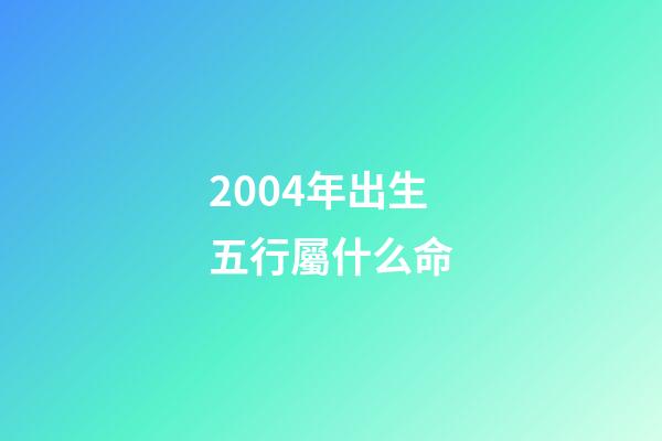 2004年出生五行屬什么命(五行缺金地)-第1張-觀點-玄機派