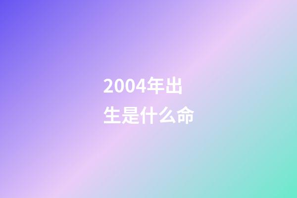 2004年出生是什么命