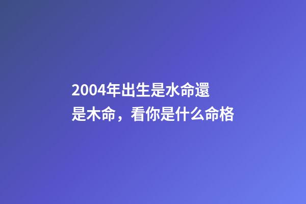 2004年出生是水命還是木命，看你是什么命格-第1張-觀點-玄機派