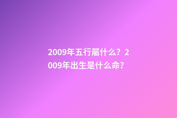 2009年五行屬什么？2009年出生是什么命？