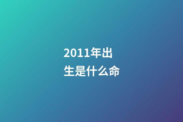 2011年出生是什么命