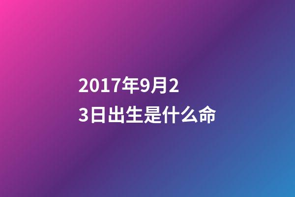 2017年9月23日出生是什么命(5大熱門國(guó)產(chǎn)長(zhǎng)頭車對(duì)比，最豪華最高配的果然是它)-第1張-觀點(diǎn)-玄機(jī)派