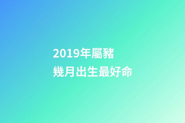 2019年屬豬幾月出生最好命(2019年是什么豬年 好運來了)-第1張-觀點-玄機派