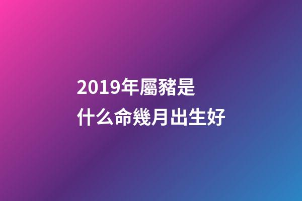 2019年屬豬是什么命幾月出生好(2019年5月份哪一天出生最好)-第1張-觀點-玄機派
