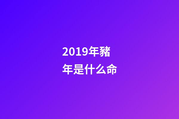 2019年豬年是什么命(金永國：同蛋不同“命”，同蛋不同“價”，同蛋不同“味”，同蛋不同“樣”)-第1張-觀點-玄機派