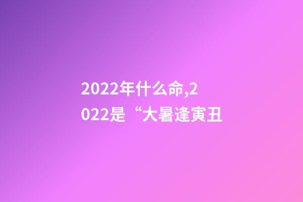 2022年什么命,2022是“大暑逢寅丑-第1張-觀點(diǎn)-玄機(jī)派