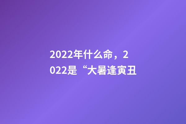 2022年什么命，2022是“大暑逢寅丑-第1張-觀點(diǎn)-玄機(jī)派