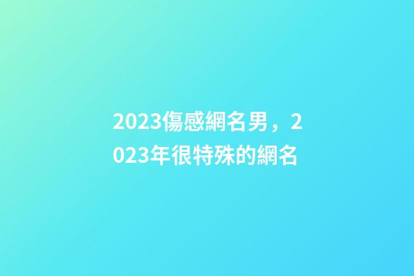 2023傷感網名男，2023年很特殊的網名-第1張-觀點-玄機派