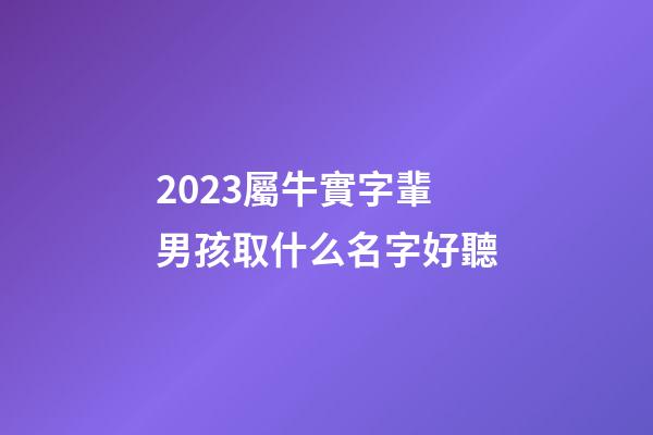 2023屬牛實字輩男孩取什么名字好聽