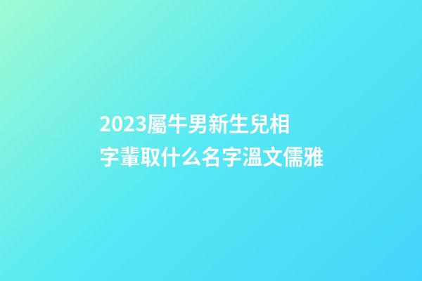 2023屬牛男新生兒相字輩取什么名字溫文儒雅