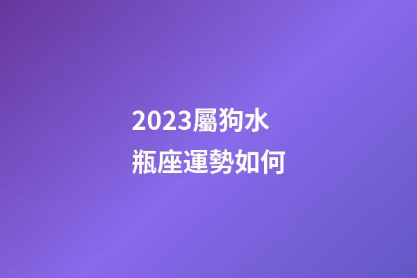 2023屬狗水瓶座運勢如何-第1張-星座運勢-玄機派