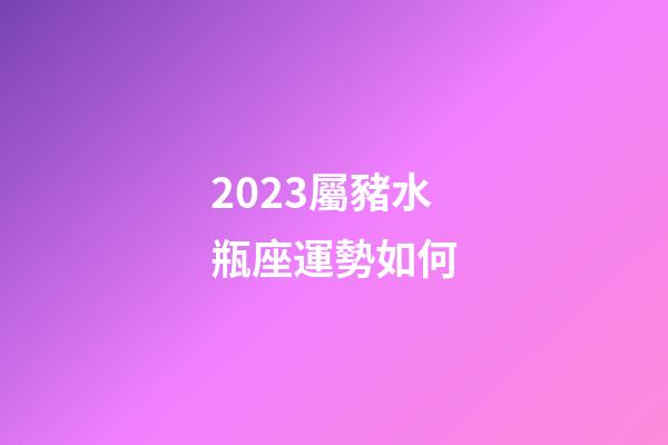 2023屬豬水瓶座運勢如何