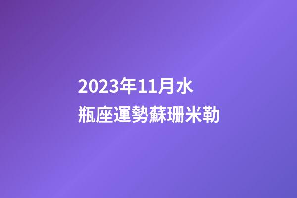 2023年11月水瓶座運勢蘇珊米勒-第1張-星座運勢-玄機派