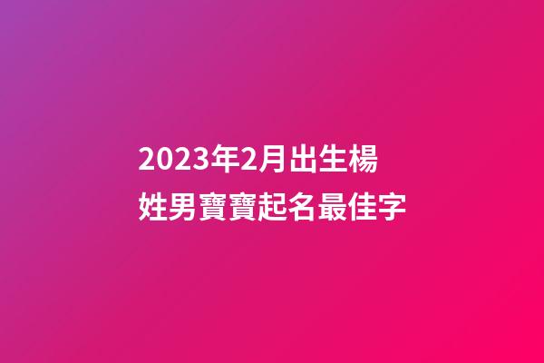 2023年2月出生楊姓男寶寶起名最佳字