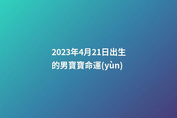 2023年4月21日出生的男寶寶命運(yùn)