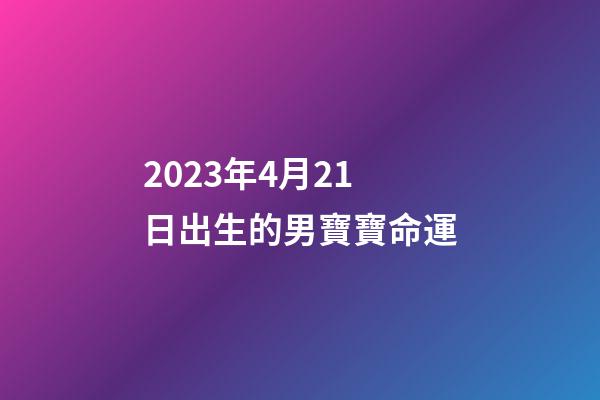 2023年4月21日出生的男寶寶命運