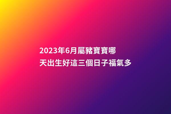 2023年6月屬豬寶寶哪天出生好?這三個日子福氣多